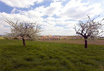 Jevišovice