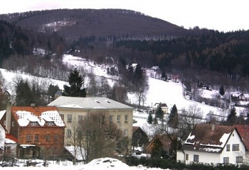 Polevsko