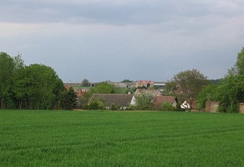 Křeč