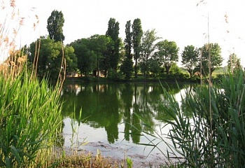 Křepice