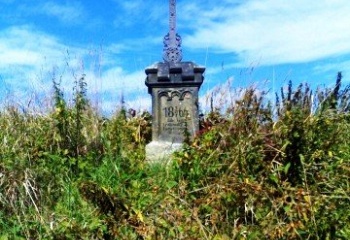 Vrchovnice