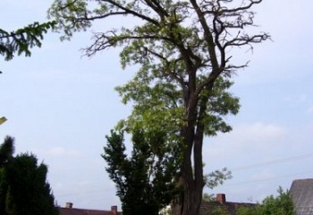 Křelovice