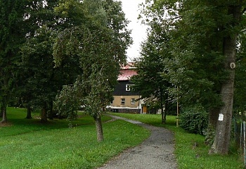 Skalice u České Lípy