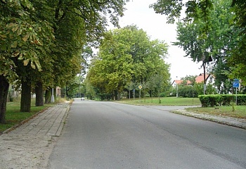 Bukovina nad Labem