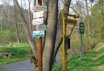 Černošín