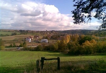 Rašovice
