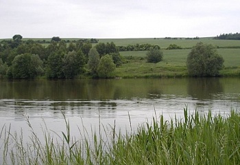 Plchov