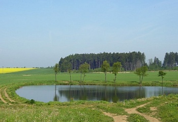 Svojkovice