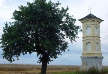 Svojetín