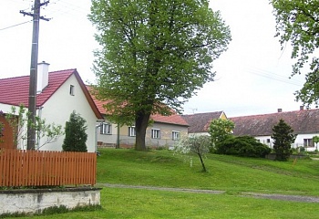 Zadní Vydří