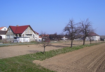 Třebenice