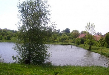Zvolenovice
