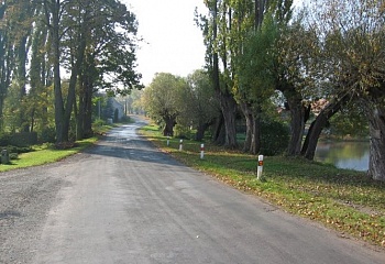Řeřichy