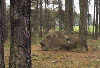 Řeřichy