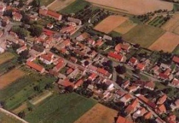 Třtice