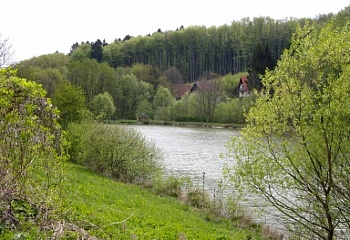 Březová