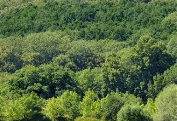 Chlumec