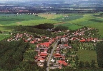 Nový Ples