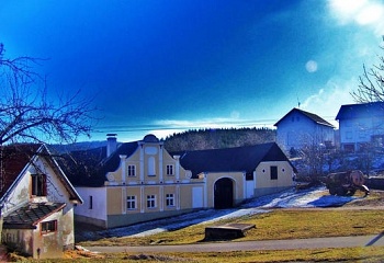 Buk