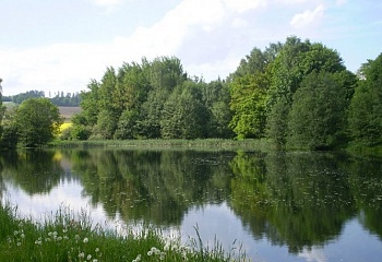 Mašovice