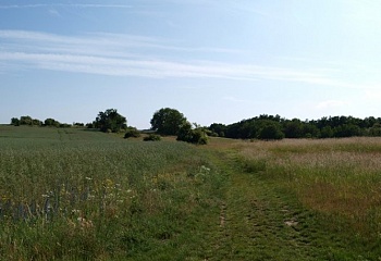 Mašovice