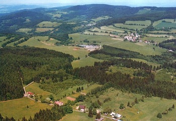 Nicov
