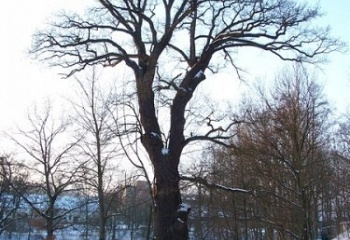 Všetaty