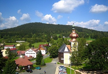 Srní