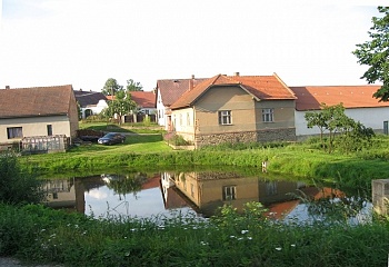 Svépravice