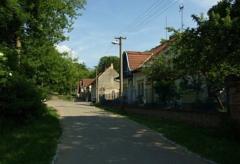 Sazená