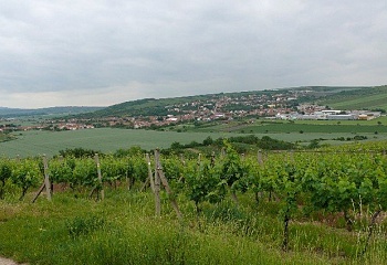 Kobylí