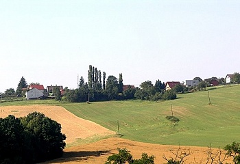 Čavisov