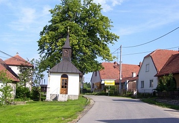 Březejc