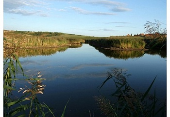 Krumvíř
