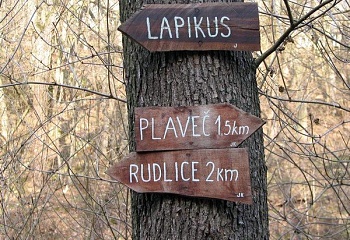 Plaveč