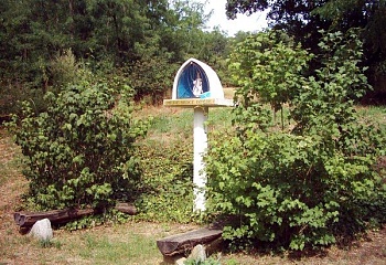 Plaveč