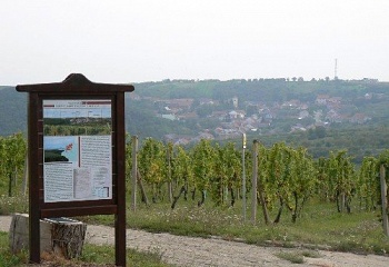 Němčičky