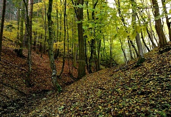 Mokrá-Horákov