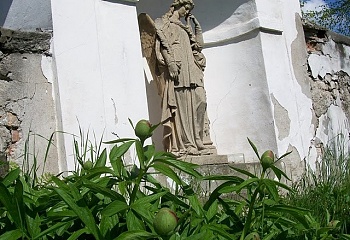 Činěves