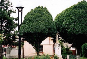 Dlouhopolsko