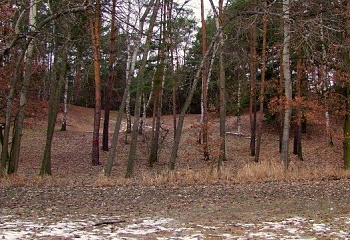 Oseček