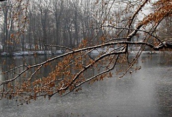 Klimkovice