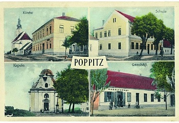 Popice