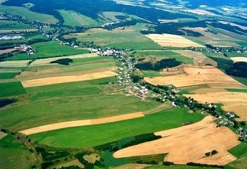 Jetřichov