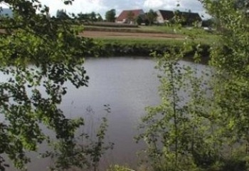 Křinice