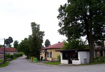 Křoví