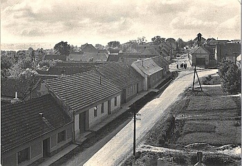 Šakvice