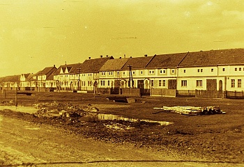Šumice