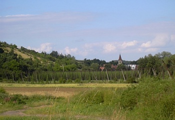 Libořice