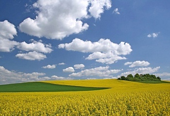 Velichovky
